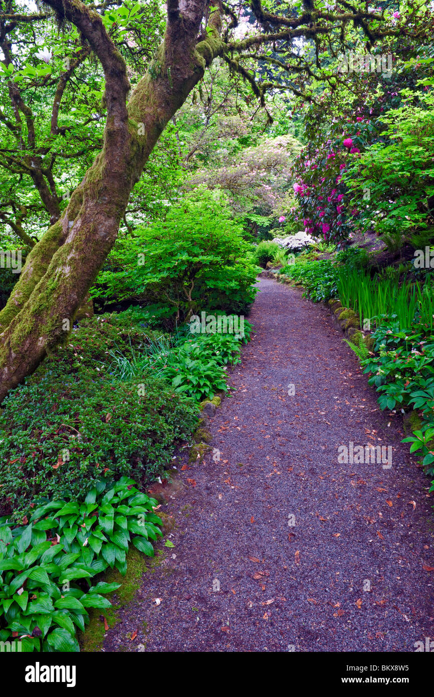 Percorso di primavera in Portland Elk del giardino di roccia al Vescovo vicino. Foto Stock