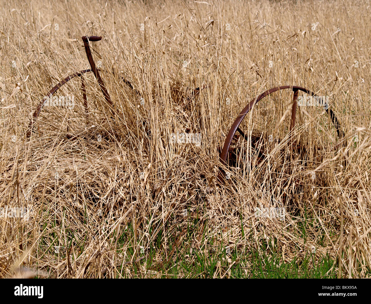 Incolto vecchie attrezzature agricole, Cornwall, Regno Unito Foto Stock