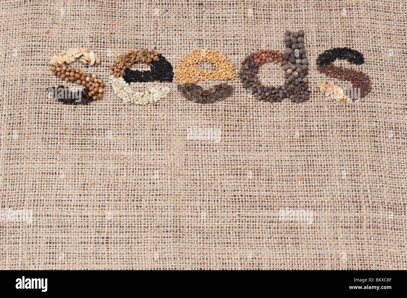 La parola "sementi" enunciato con verdure e semi di fiori su hessian Foto Stock