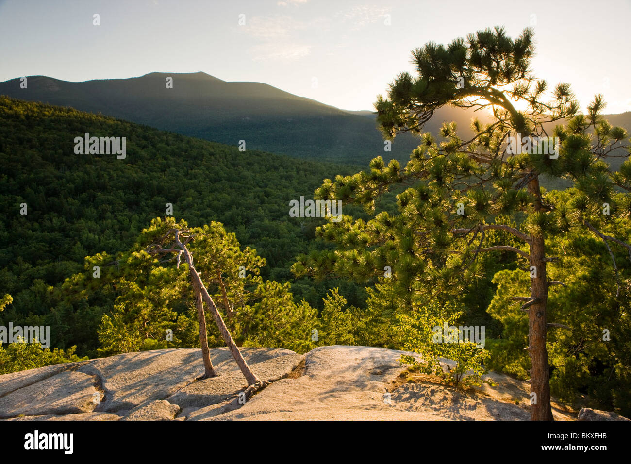 Il punto di vista del fossato Mountain dalla battuta della cattedrale in Echo Lake State Park in North Conway, New Hampshire. White Mountains. Foto Stock