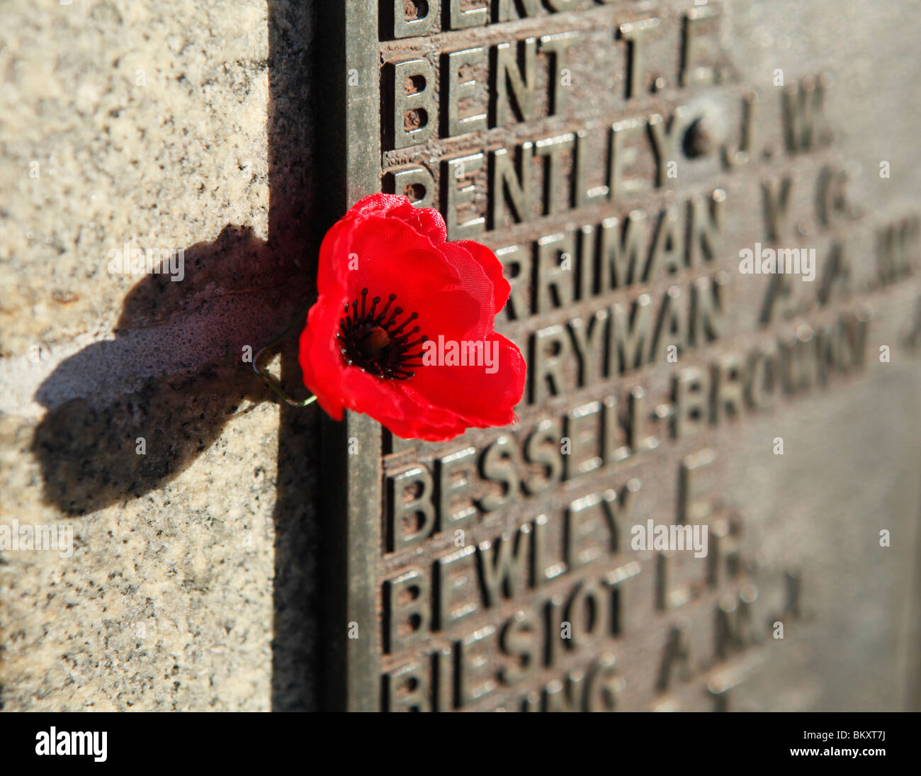 Il papavero accanto a una placca del ricordo di un memoriale di guerra. Foto Stock