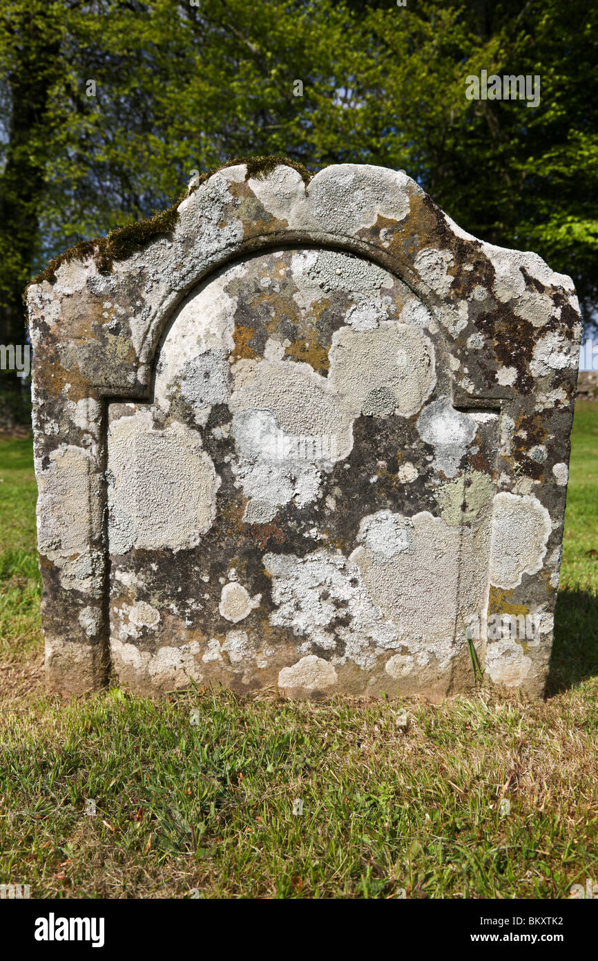 Molte varietà di licheni e muschi su una lapide nella South Ayrshire. Foto Stock