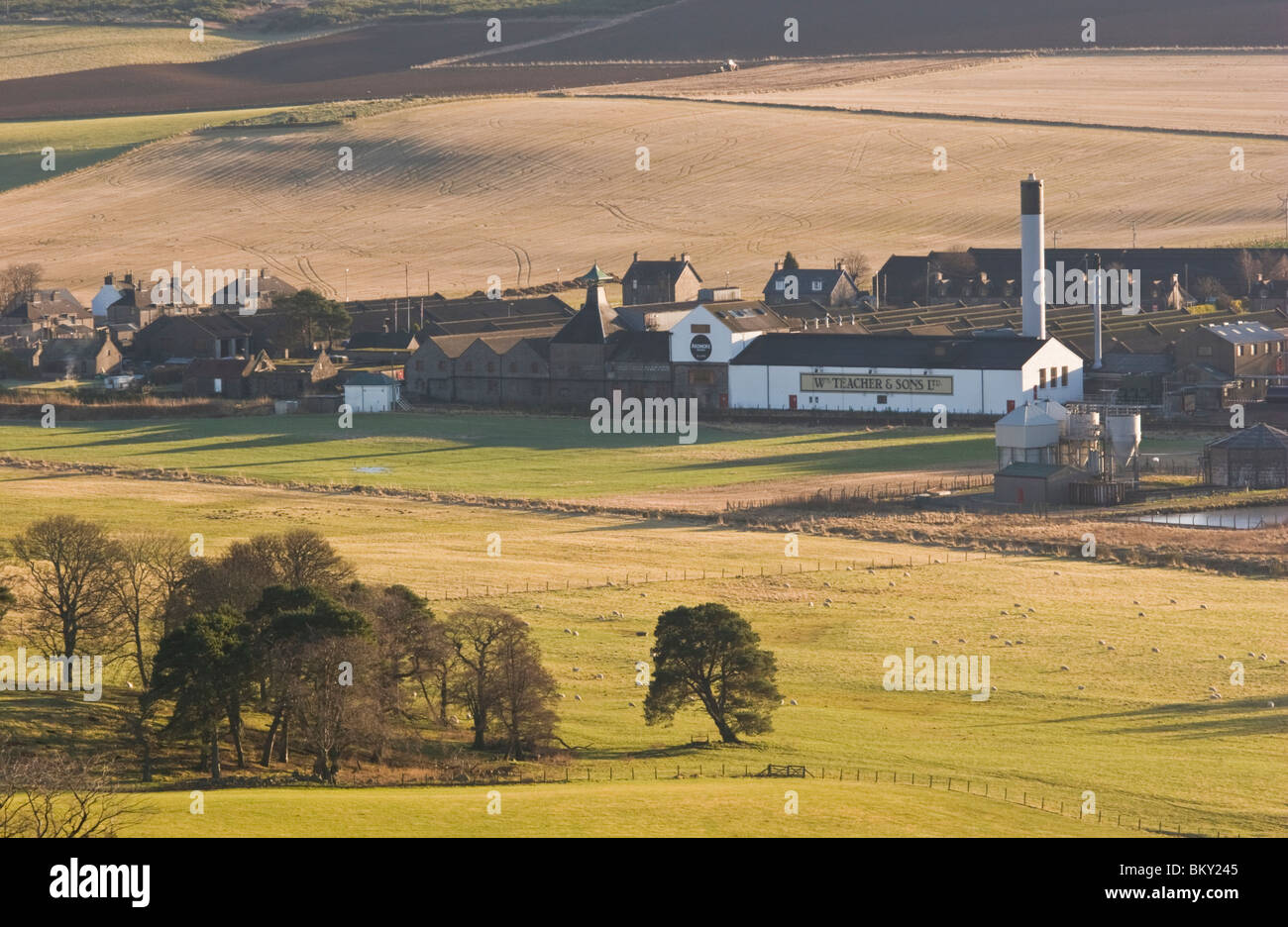 Ardmore Scotch Malt Whisky Distillery, Kennethmont, Aberdeenshire, Scozia Foto Stock