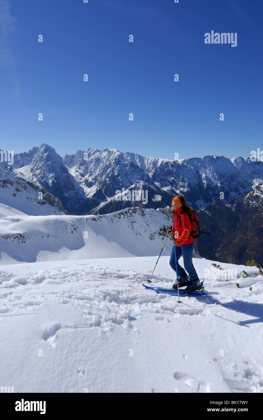 Backcountry femmina sciatore ascendente, Pyramidenspitze, Eggersgrinn, Zahmer Kaiser, Kaiser gamma, Tirolo, Austria Foto Stock