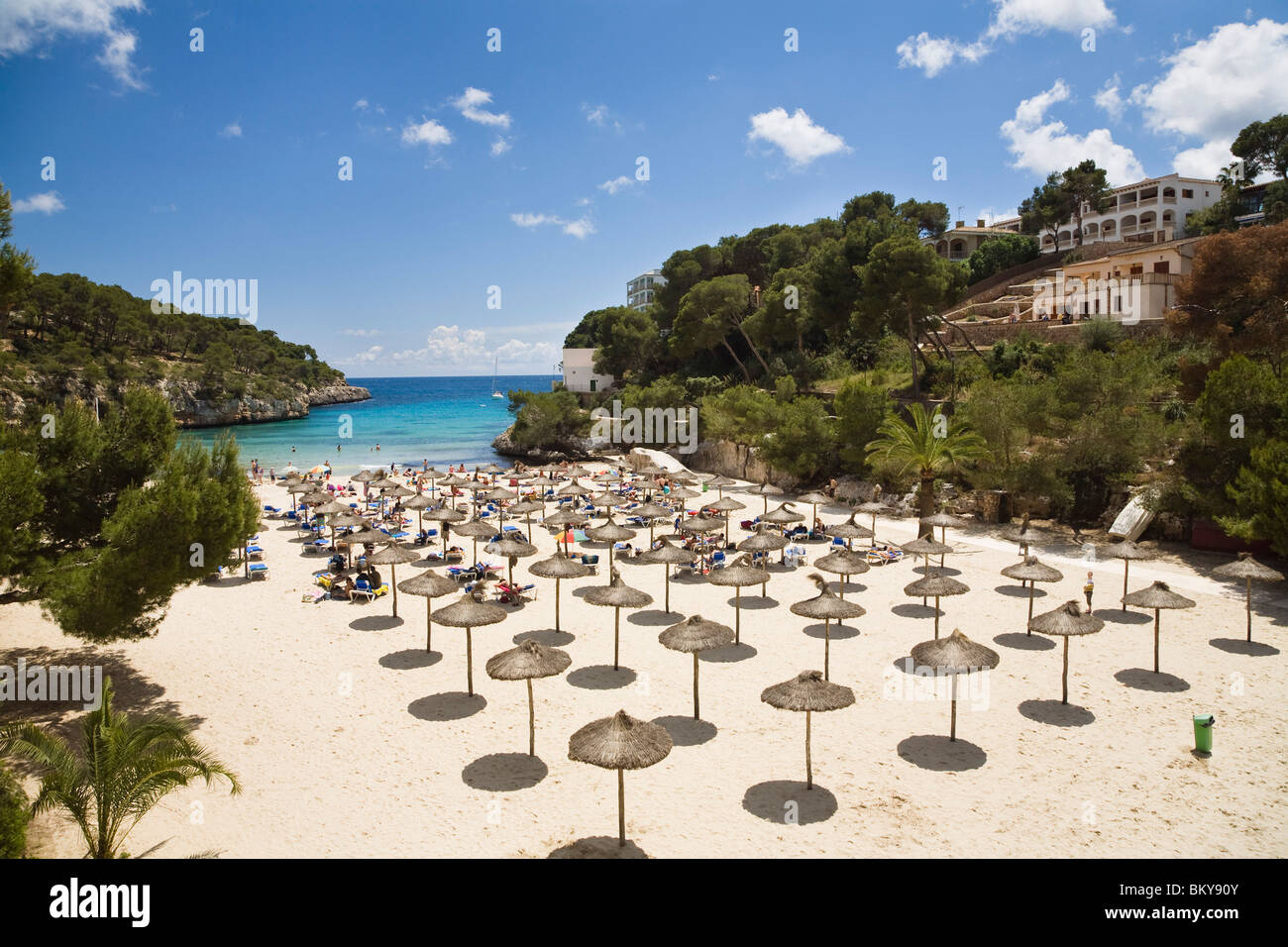 Spiaggia di sabbia fine attrezzata con ombrelloni presso la baia di Cala Santanyi, Maiorca, isole Baleari, Spagna, Europa Foto Stock