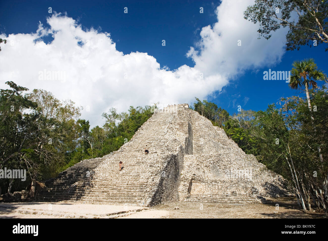Tempio maya le rovine di Coba, Stato di Quintana Roo, Penisola dello Yucatan, Messico Foto Stock