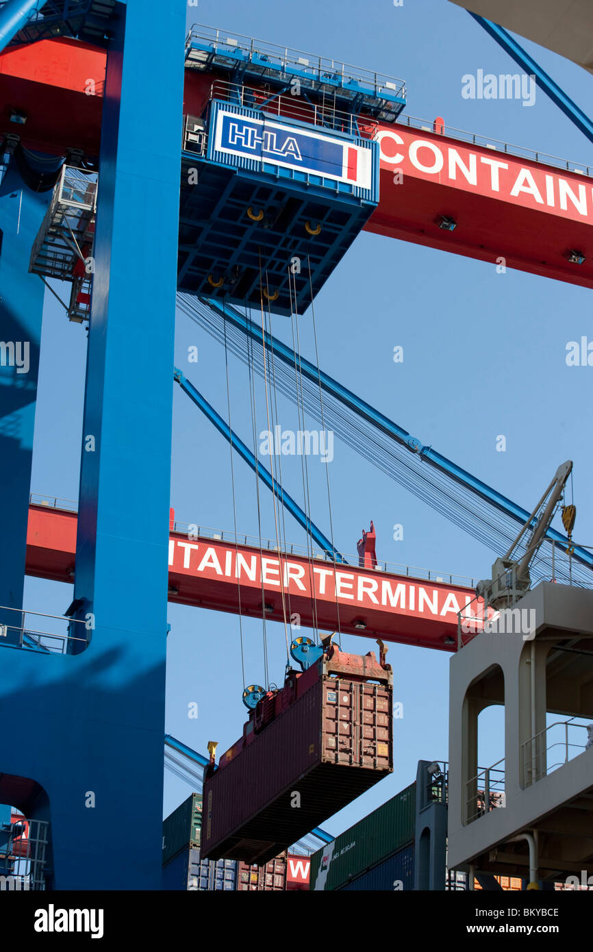 Contenitore, gantry crane, porto di Amburgo, Germania Foto Stock