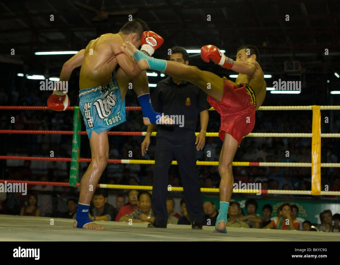 Thai Boxing, il Lumphini Stadium, Bangkok, Thailandia Foto Stock