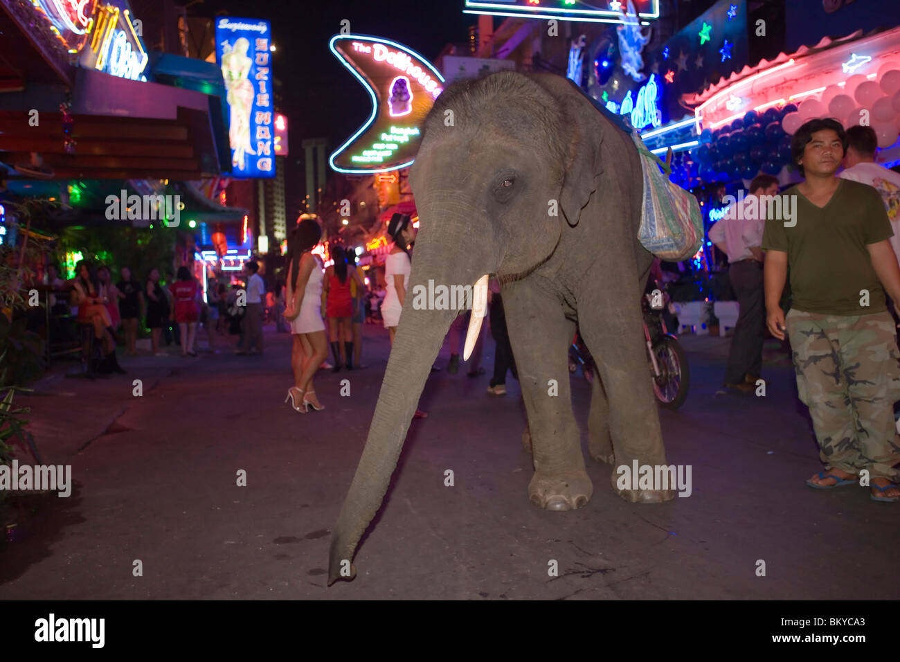 Un elefante e mahout accattonaggio al Soi Cowboy, quartiere a luci rosse, Th Sukhumvit Bangkok, Thailandia Foto Stock