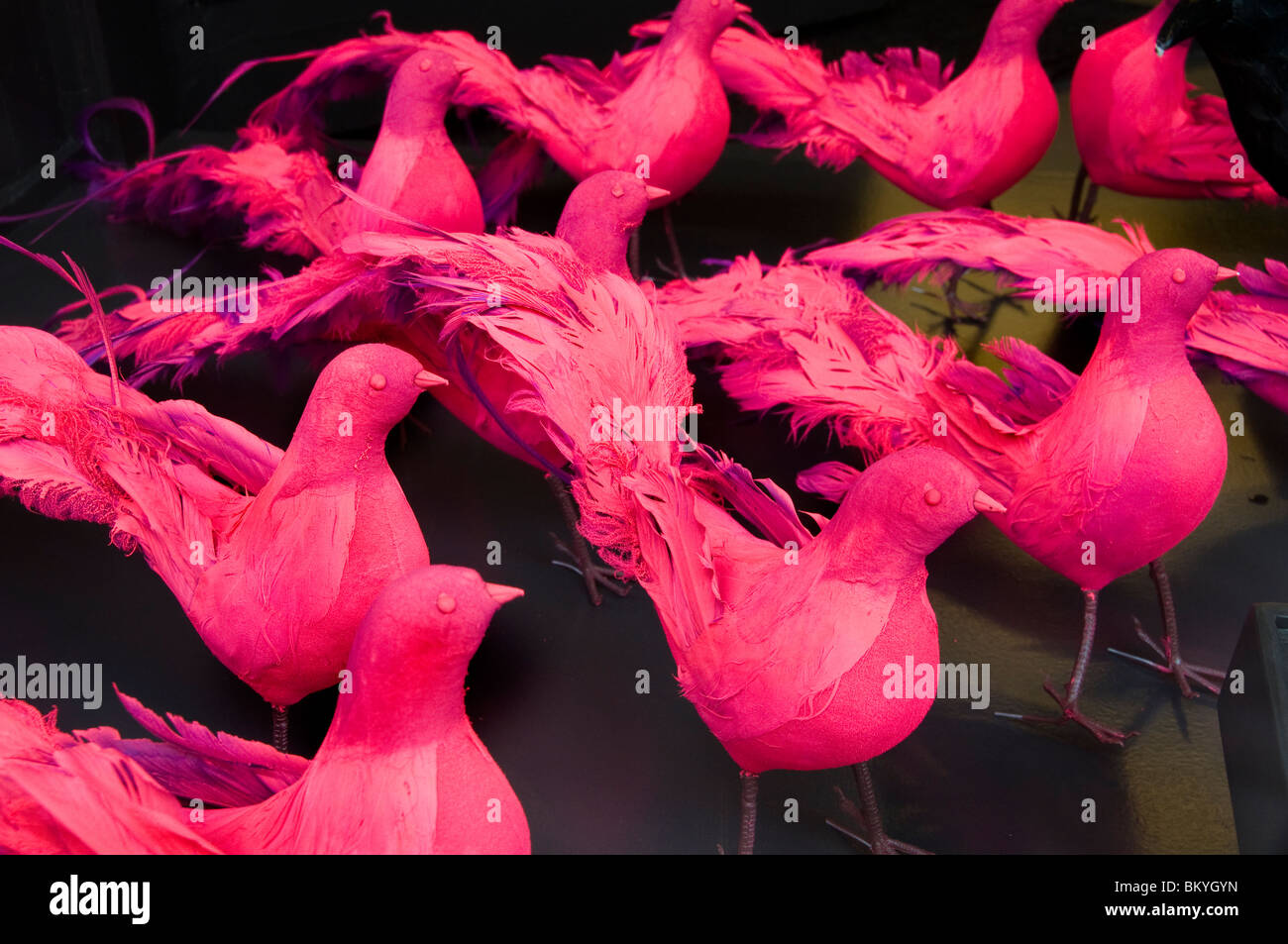 Ginza Tokyo moda negozio di lusso rosa uccelli Uccelli Foto Stock