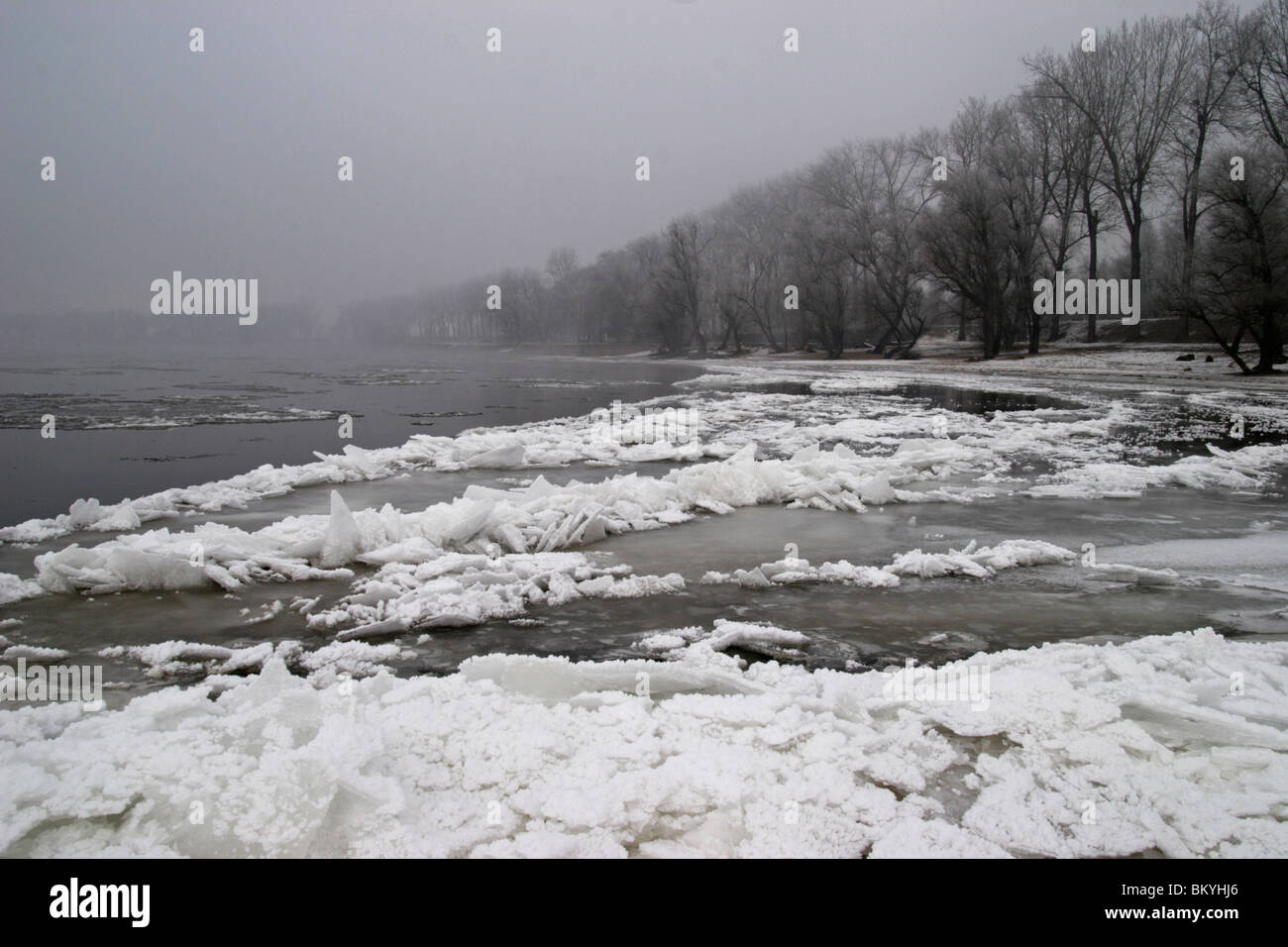 Inverno, ghiaccio, congelati, il Danubio, Fiume Foto Stock