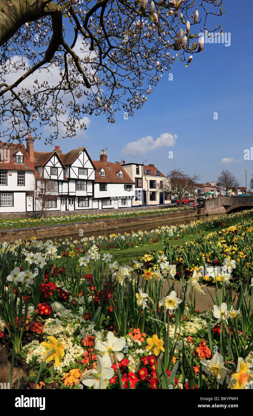 3101. Westgate Grove, Canterbury, Kent, Regno Unito Foto Stock