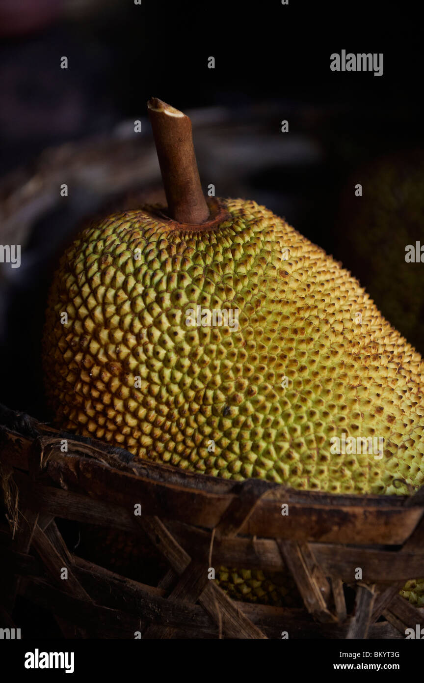 Close-up di Jackfruit Foto Stock