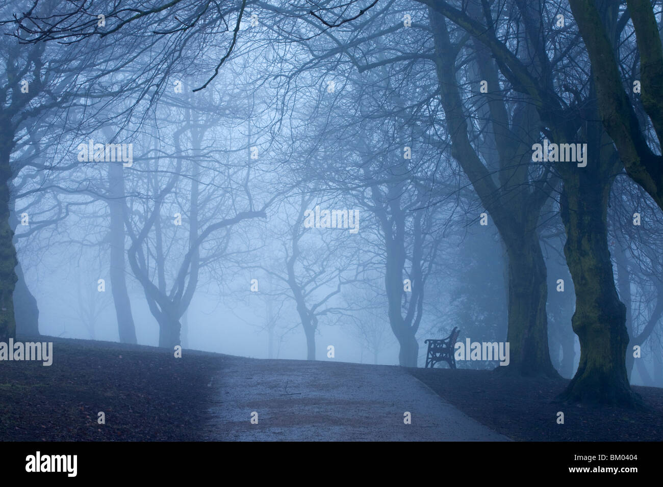Una solitaria panchina su un nebbioso giorno nel parco Foto Stock