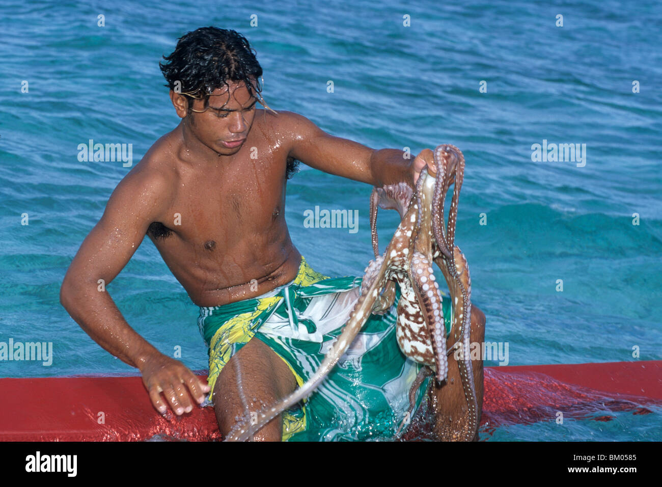 Shark Boy e il polpo, Bora Bora Lagoon, Polinesia Francese Foto Stock