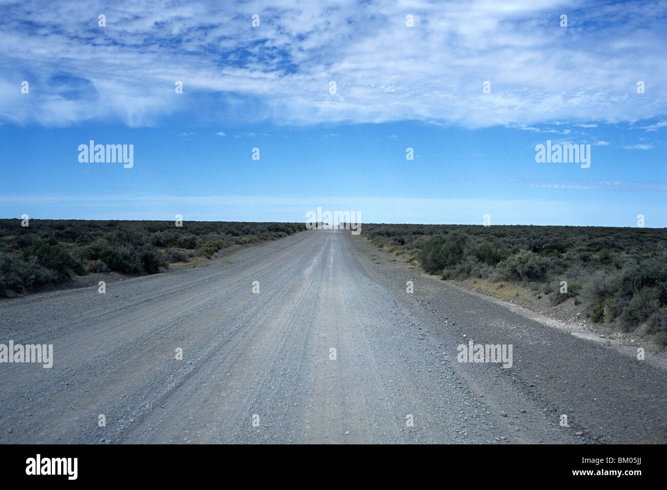 Polvere della strada attraverso la pampa, nei pressi di Punta Tombo, Patagonia, Argentina Foto Stock