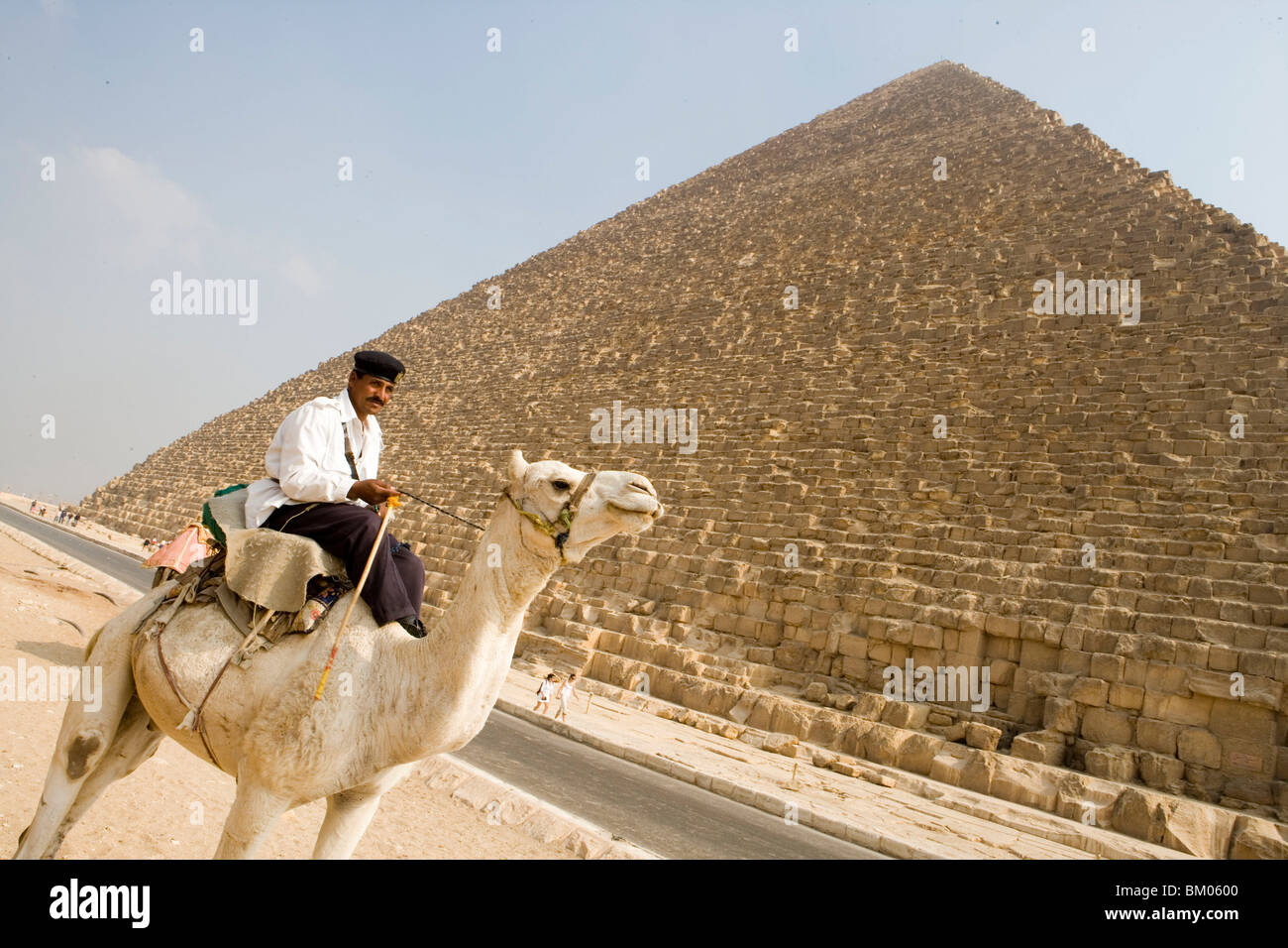 Polizia turistica sul cammello, le Piramidi di Giza, Cairo, Eqypt Foto Stock