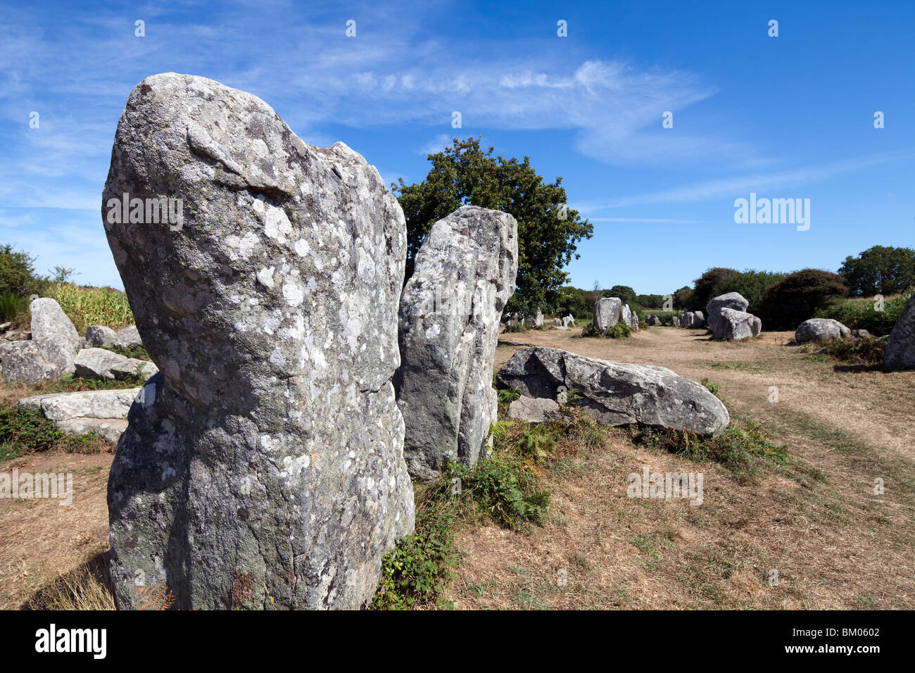 I megaliti di Kerherzo, città di Erdeven, departament del Morbihan, in Bretagna, Francia Foto Stock