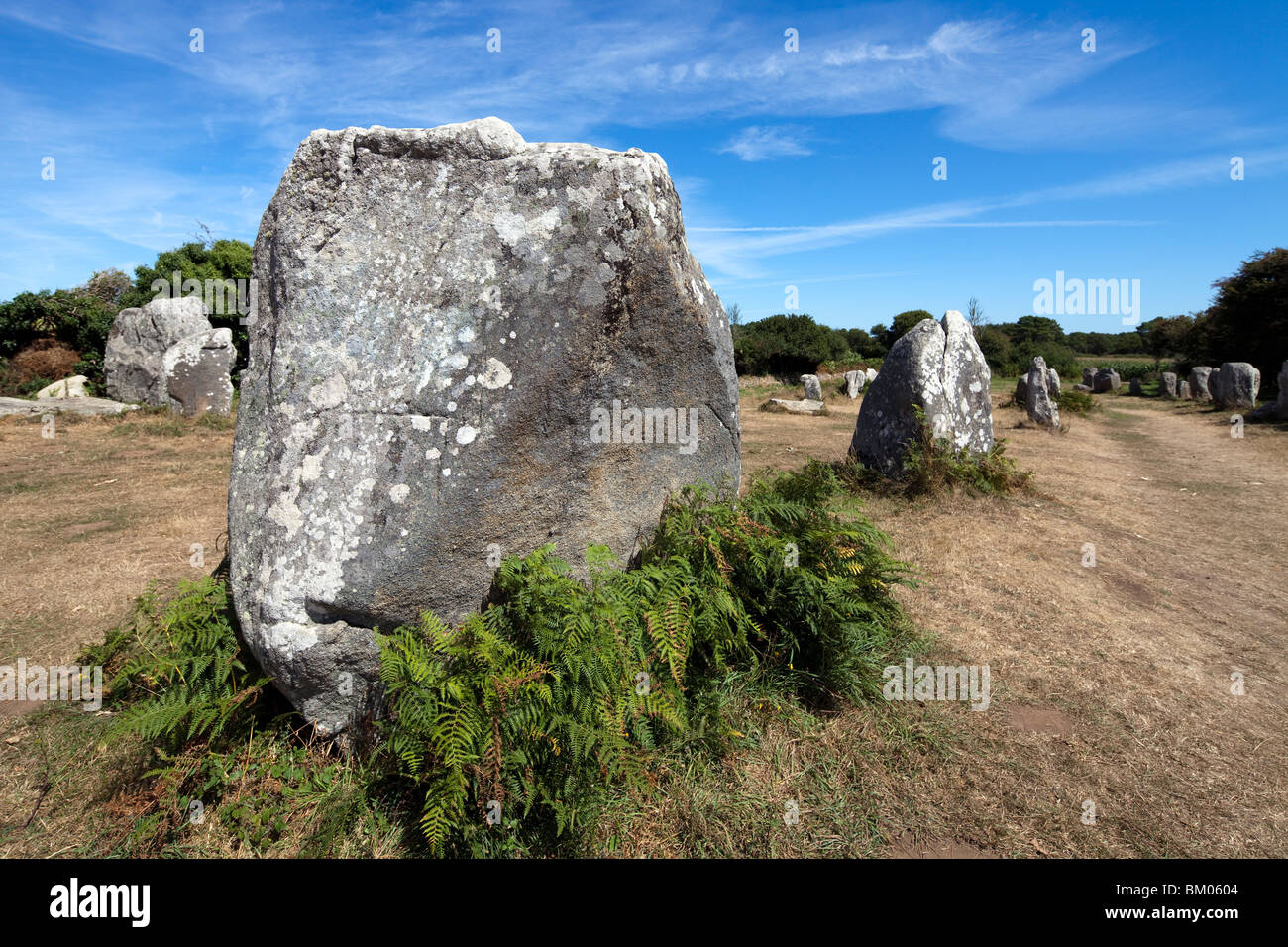 I megaliti di Kerherzo, città di Erdeven, departament del Morbihan, in Bretagna, Francia Foto Stock