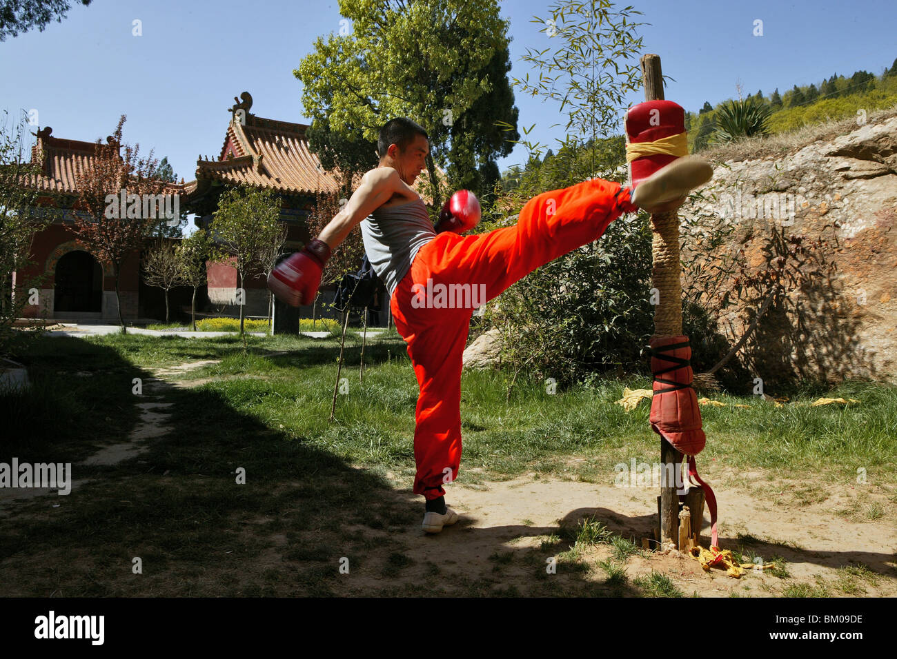 Kung Fu studente di kick boxing training, Song Shan, nella provincia di Henan, Cina e Asia Foto Stock