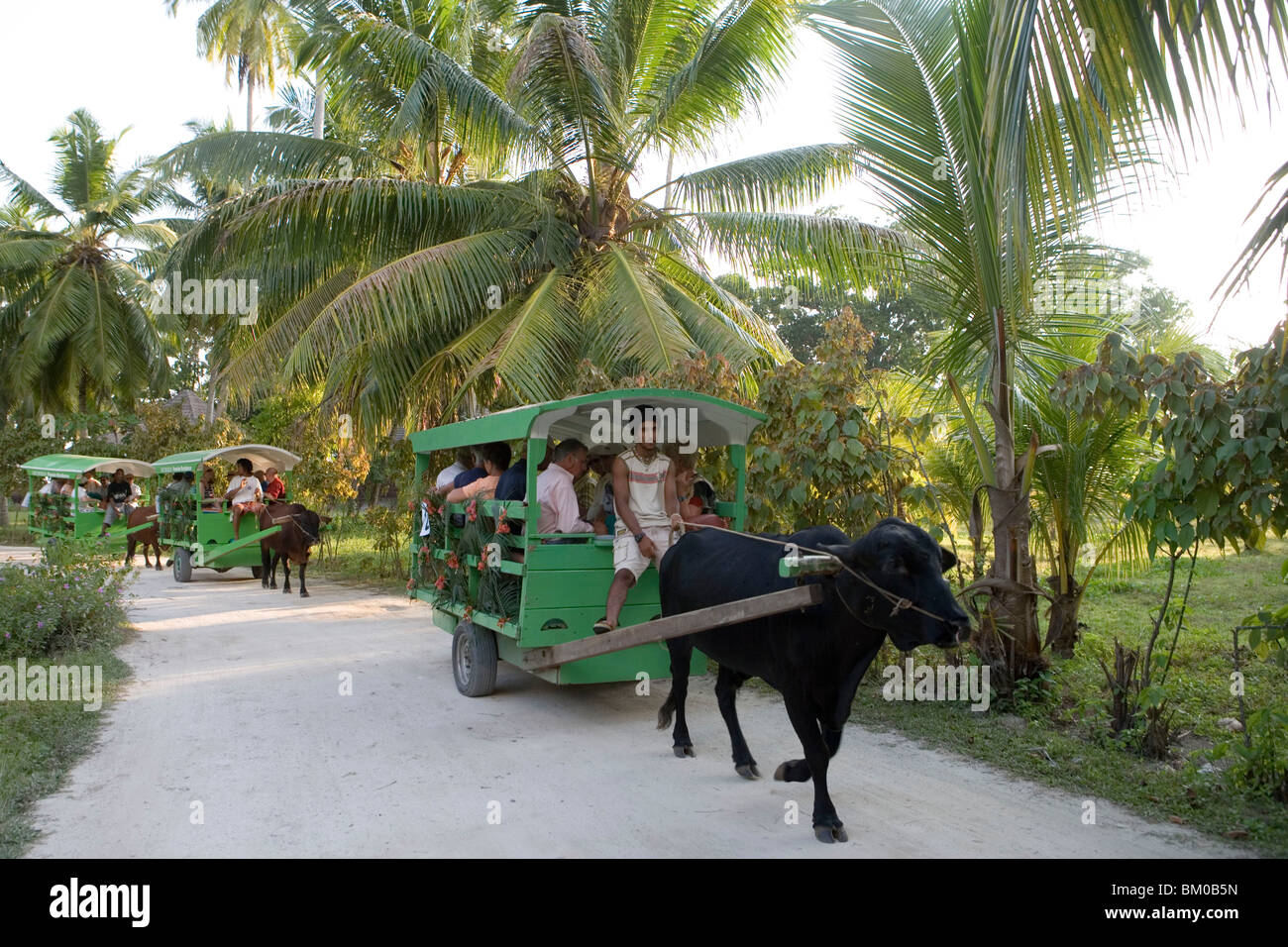 Trasferimento turistico su carrelli di bue, piantagione di unione, La Digue Island, Seicelle Foto Stock