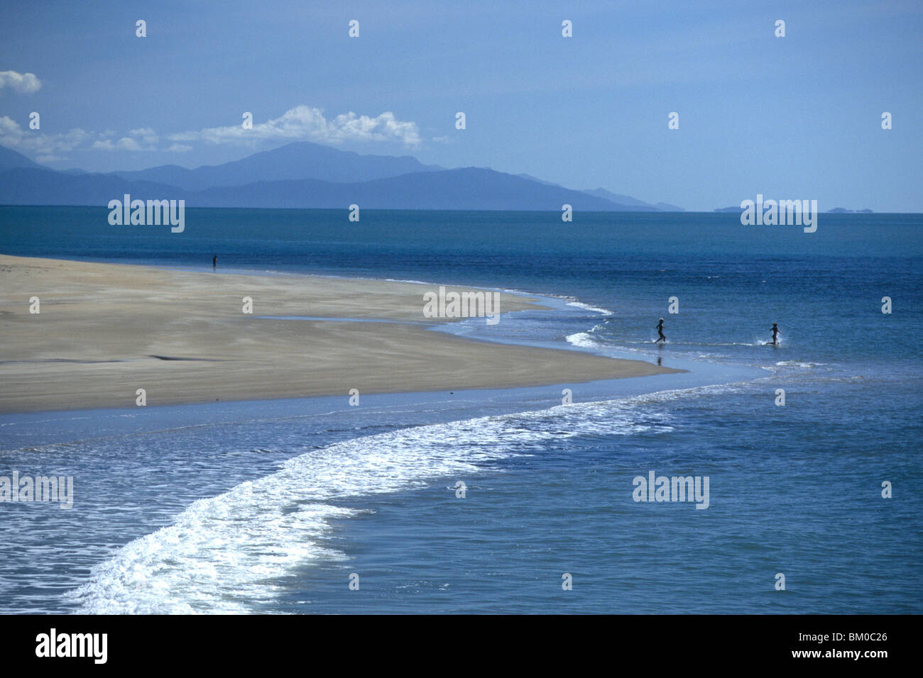 Litorale vicino alla spiaggia di quercia, vicino a Cairns, Queensland, Australia Foto Stock