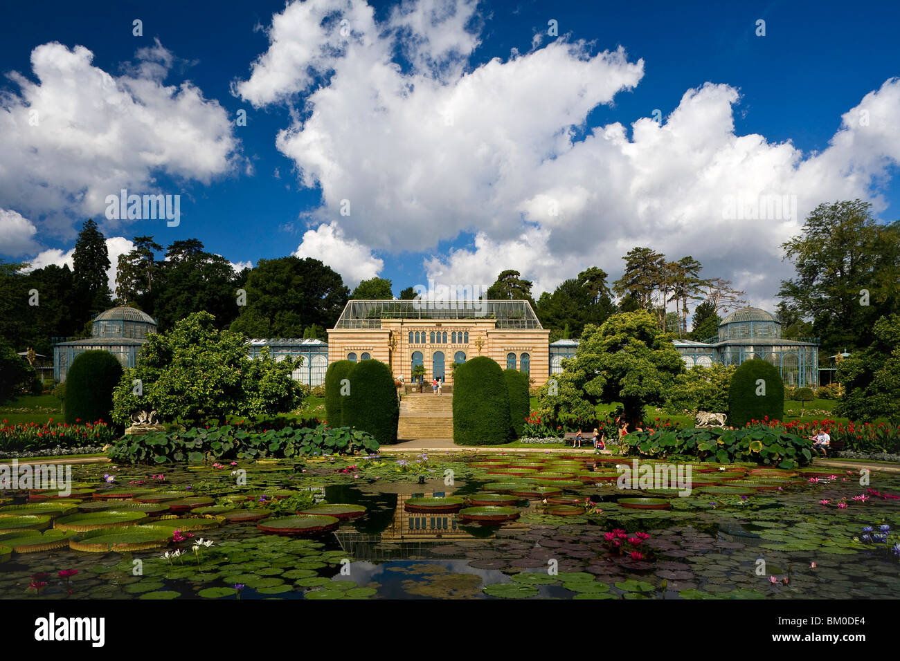 Giardini zoologici e orti botanici Wilhelma, giardino moresco con la più grande ninfee nel mondo, Stoccarda, Baden-Wuerttemb Foto Stock