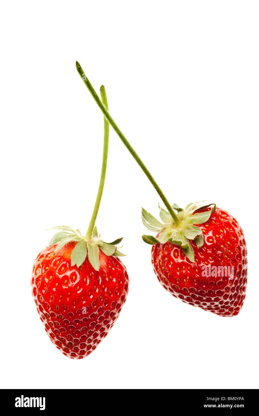 Ripe rosso fragole con steli e foglie isolati su sfondo bianco Foto Stock