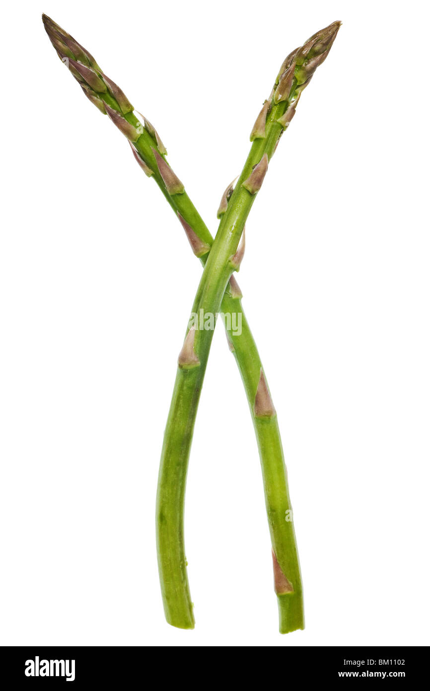 Gli asparagi isolato su un puro sfondo bianco Foto Stock