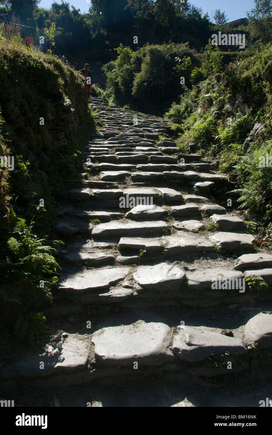 Gradini di pietra villaggio Shikha, Circuito di Annapurna, Nepal Foto Stock