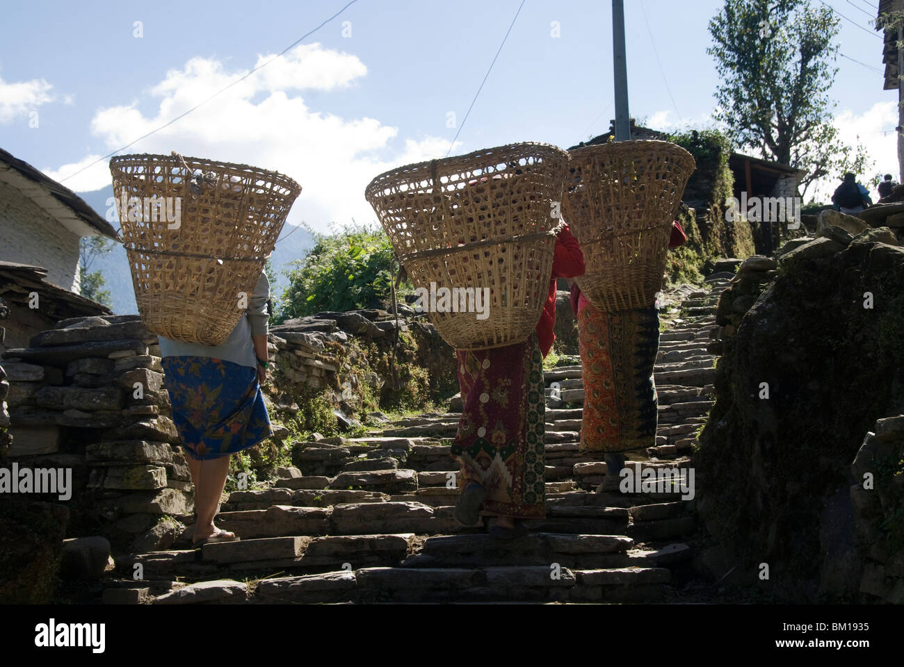 Le donne che trasportano i cestini e salendo la scalinata in pietra, Shikha Village, Circuito di Annapurna, Nepal Foto Stock