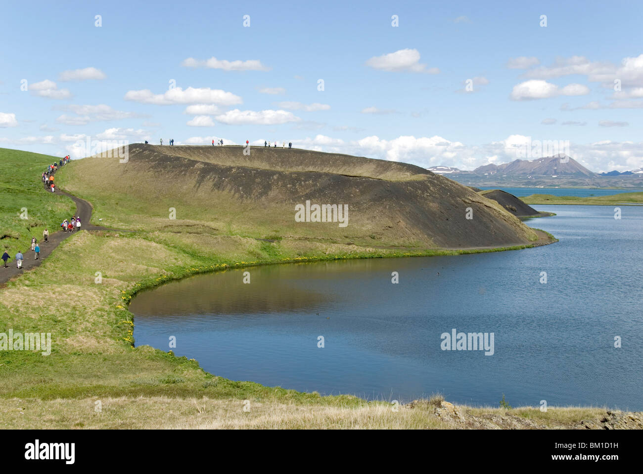 Sradicate cratere, Skutustadir, estremità sud del Lago Myvatn, Islanda, regioni polari Foto Stock