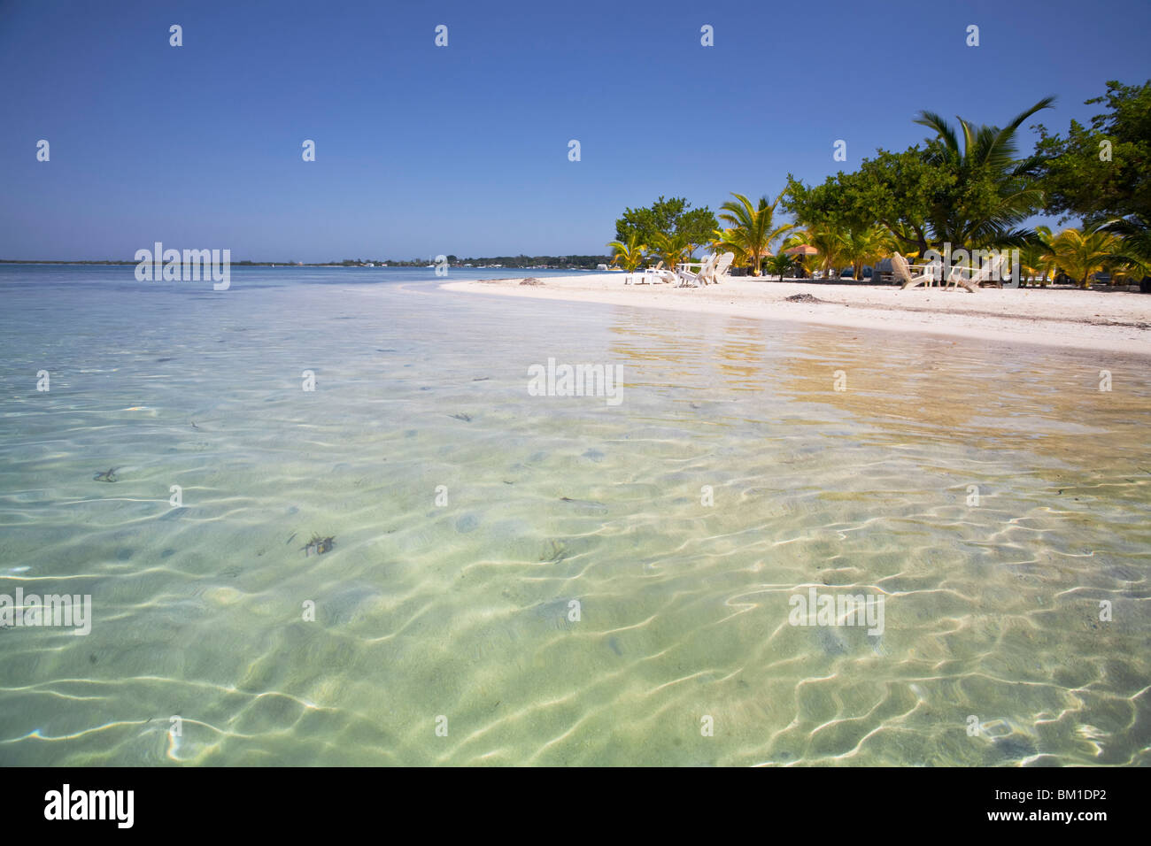 Bando Beach, Utila, isole di Bay, Honduras, America Centrale Foto Stock