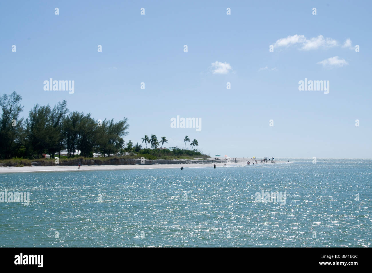 Spiaggia, Sanibel Island, costa del Golfo della Florida, Stati Uniti d'America, America del Nord Foto Stock