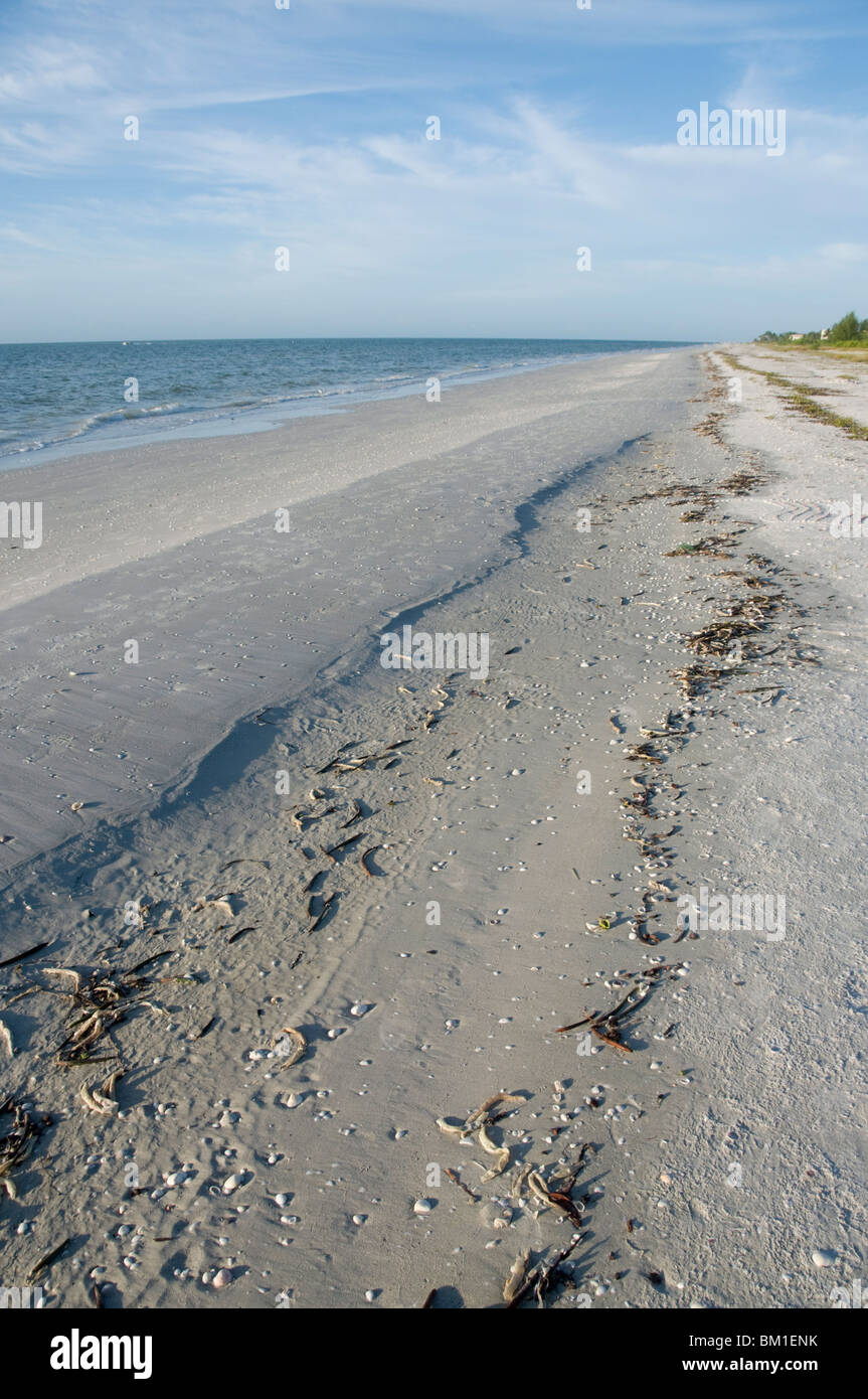 Spiaggia, Sanibel Island, costa del Golfo della Florida, Stati Uniti d'America, America del Nord Foto Stock