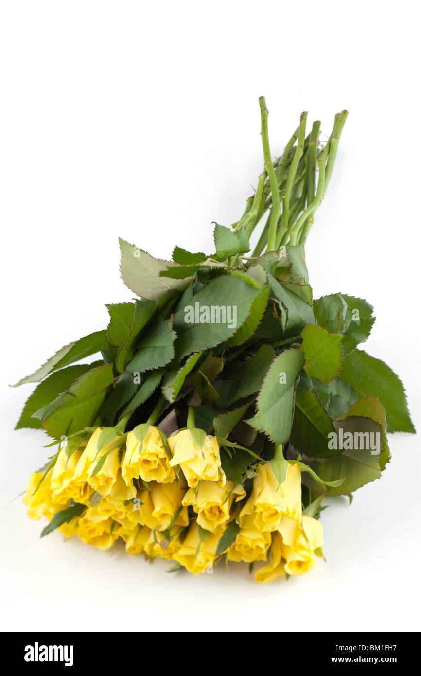 Mazzo di rose giallo Foto Stock