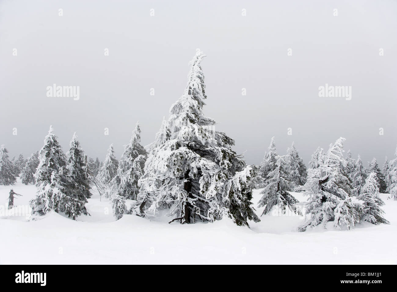 Inverno sul Brocken mountain Foto Stock