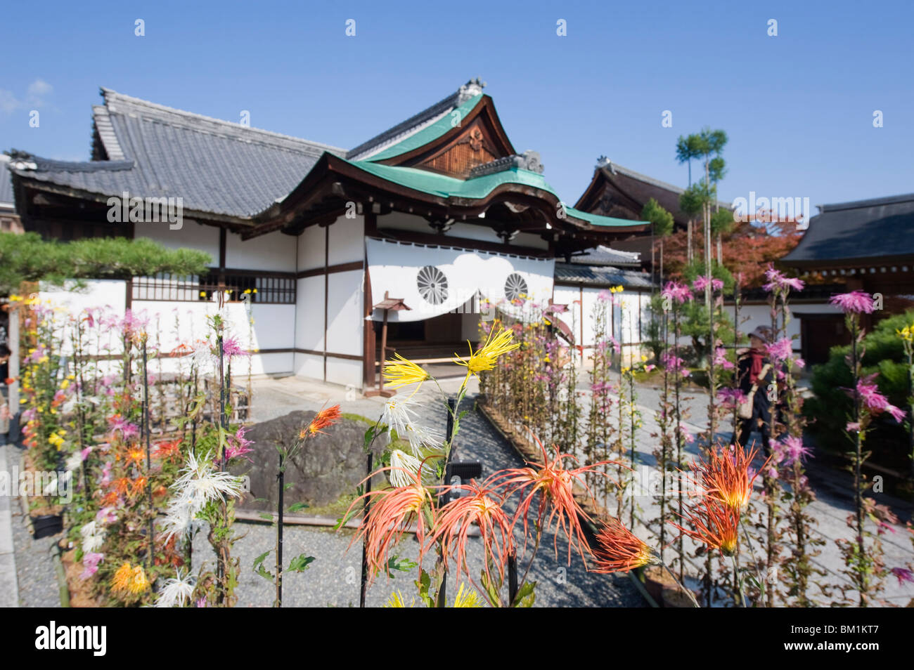 Dimostrazione di ikebana, Daikaku ji (Daikakuji) tempio risalente al 876, area Sagano, Kyoto, Giappone, Asia Foto Stock