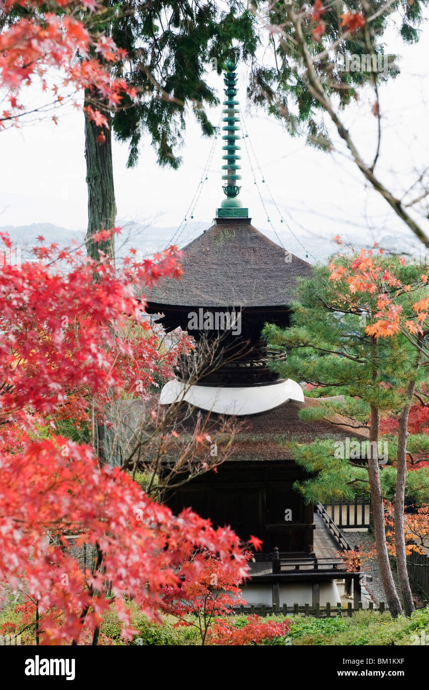 Autunno foglie di acero al XVI secolo Jojakko ji (Jojakkoji) Tempio, Sagano Arashiyama area, Kyoto, Giappone, Asia Foto Stock