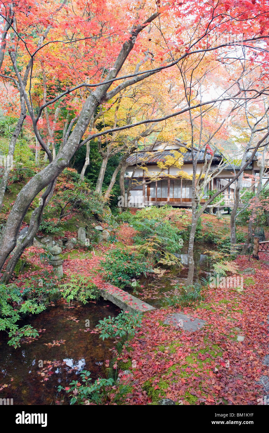 Autunno foglie di acero al XVI secolo Jojakko ji (Jojakkoji) Tempio, Sagano Arashiyama area, Kyoto, Giappone, Asia Foto Stock