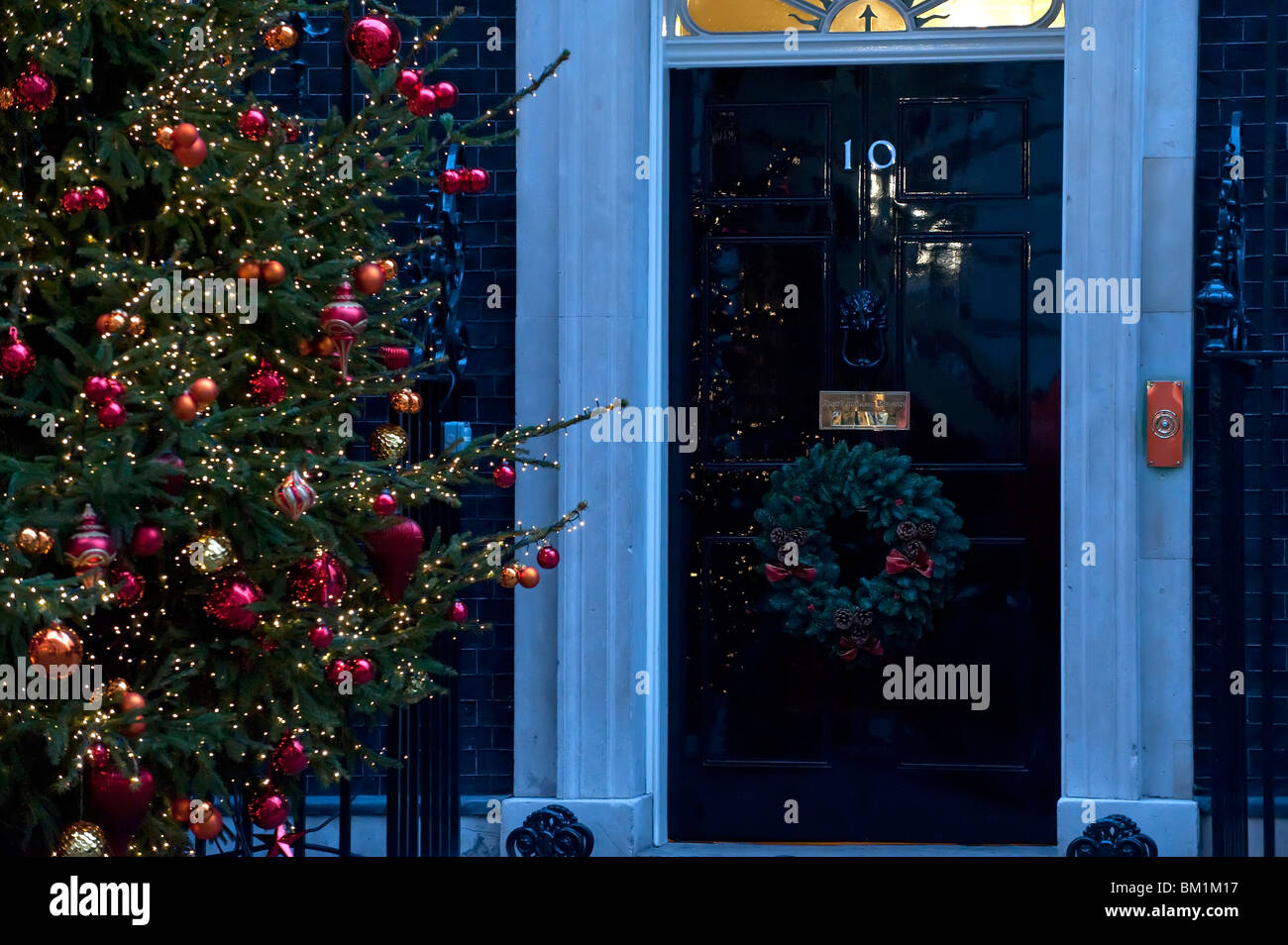 Ultimi preparativi al di fuori di n 10 Downing Street dell albero di Natale offerto il British coltivatori di alberi di Natale Foto Stock