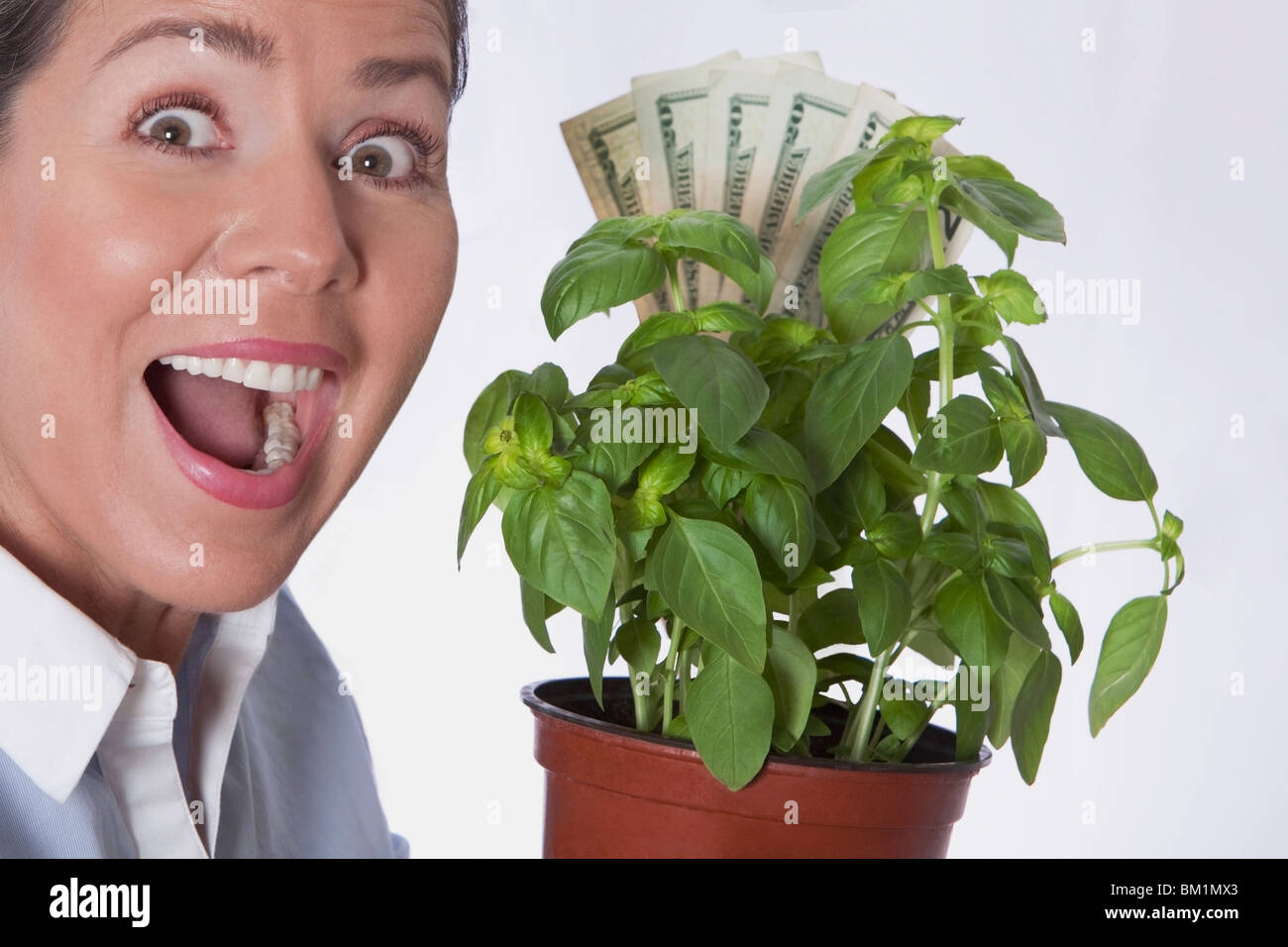 Donna che guarda sconvolto con il denaro cresce su una pianta Foto Stock