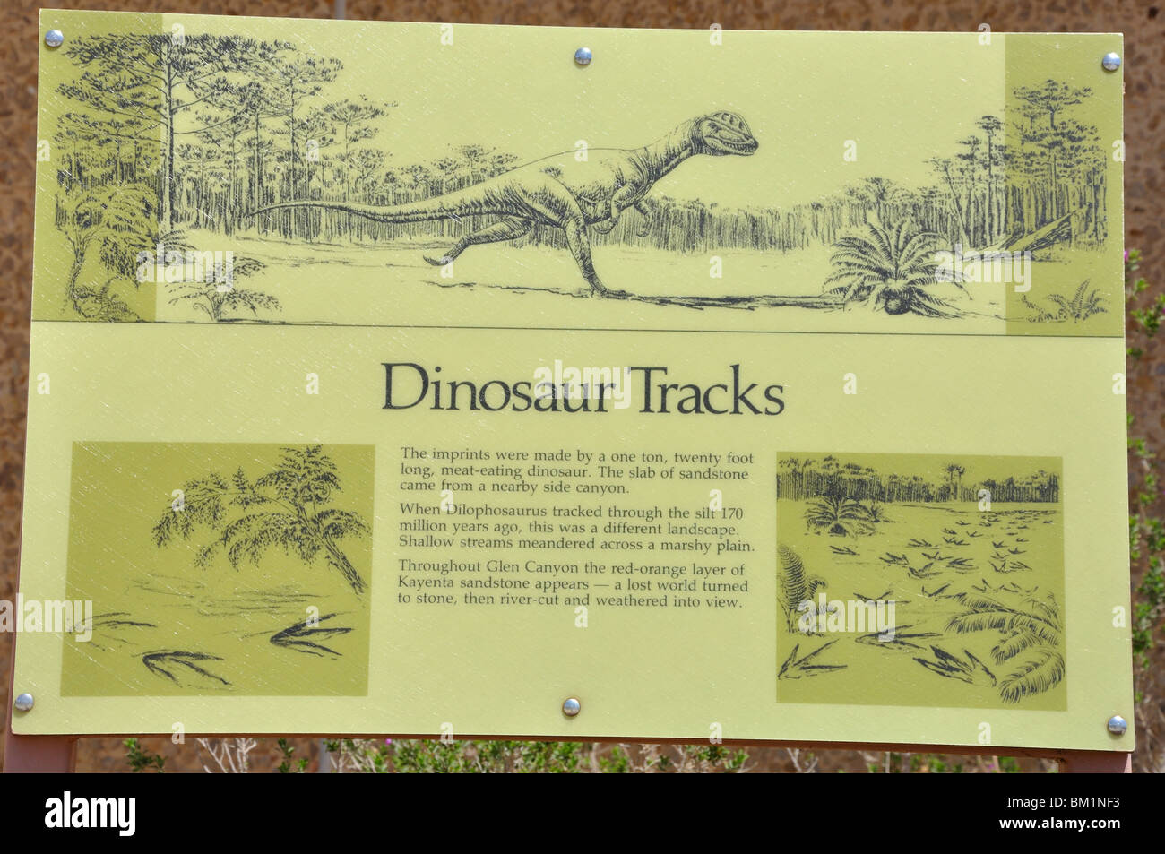 Dinosauro tracce del segno a Glen Canyon Dam, Arizona, Stati Uniti d'America Foto Stock