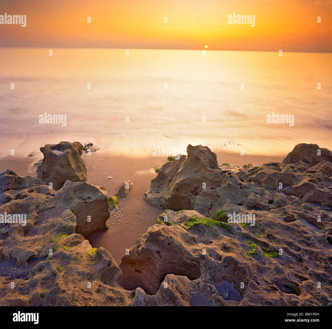 Affioramenti calcarei all alba di Blowing Rock preservare la Costa Atlantica su Giove Isola Florida Foto Stock