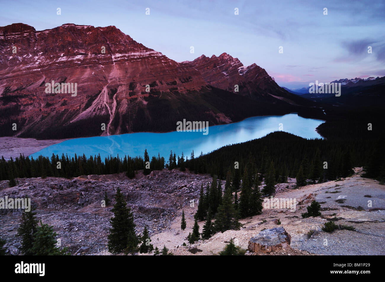 Peyto Lake, il Parco Nazionale di Banff, Sito Patrimonio Mondiale dell'UNESCO, montagne rocciose, Alberta, Canada, America del Nord Foto Stock