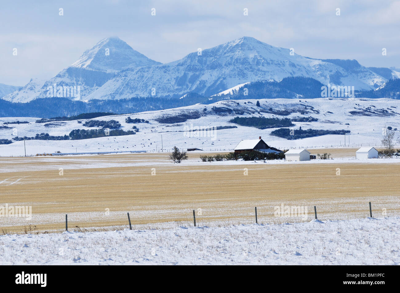 Prairie e Montagne Rocciose, in prossimità del rullo di estrazione Creek, Alberta, Canada, America del Nord Foto Stock