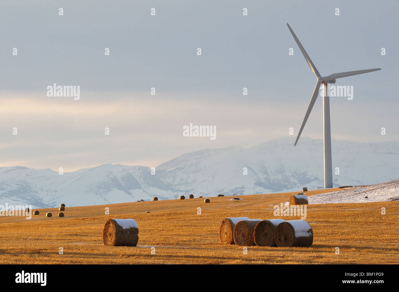 Prairie in prossimità del rullo di estrazione Creek, Alberta, Canada, America del Nord Foto Stock