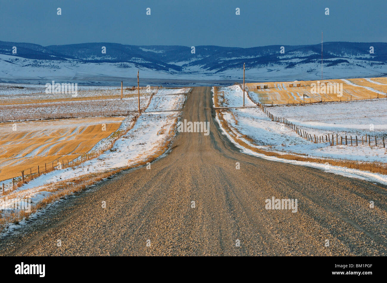 Road vicino al torrente del rullo di estrazione, Alberta, Canada, America del Nord Foto Stock