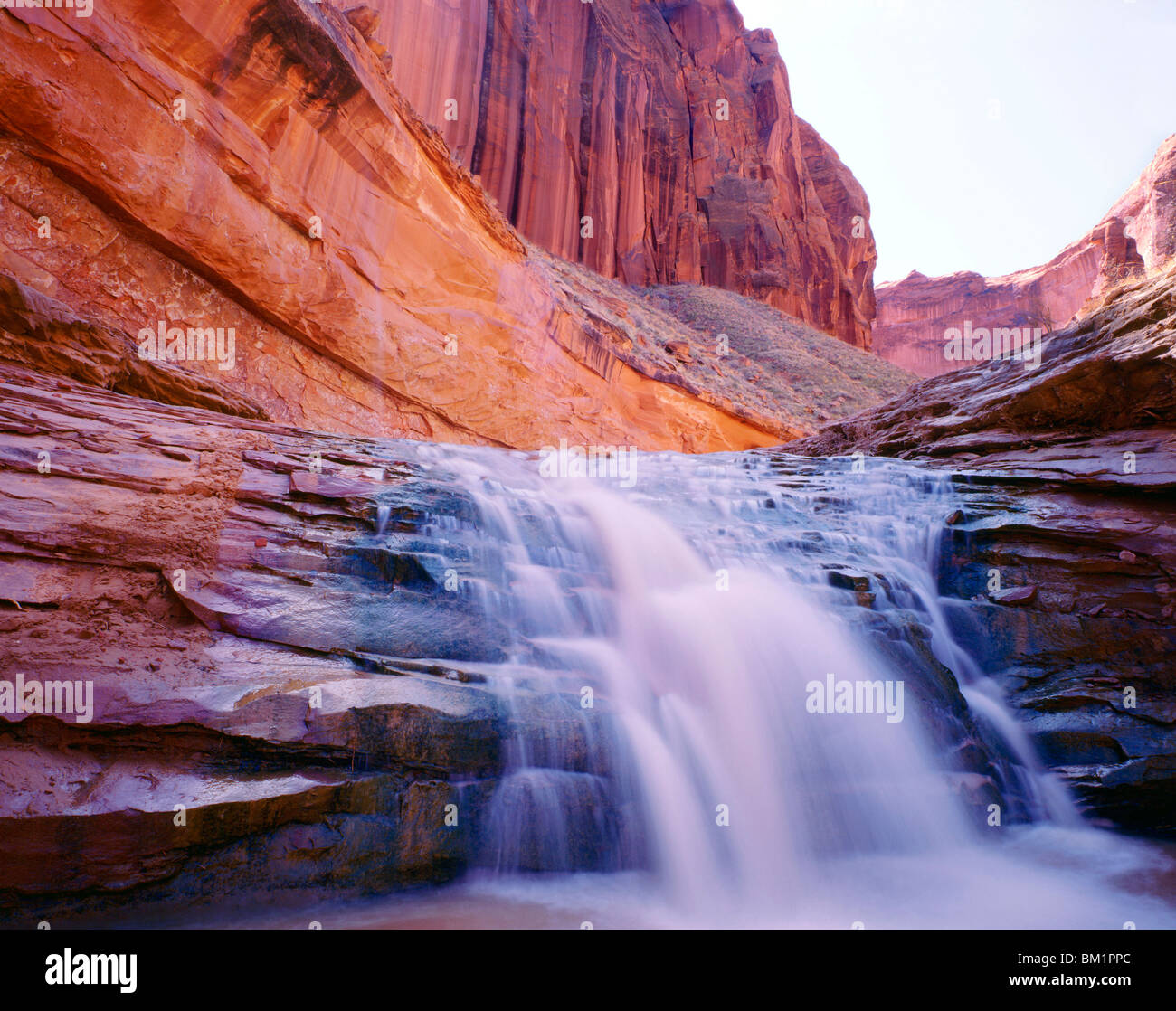 Molla cade nella luce del mattino a Coyote Gulch Glen Canyon National Recreation Area Utah Foto Stock