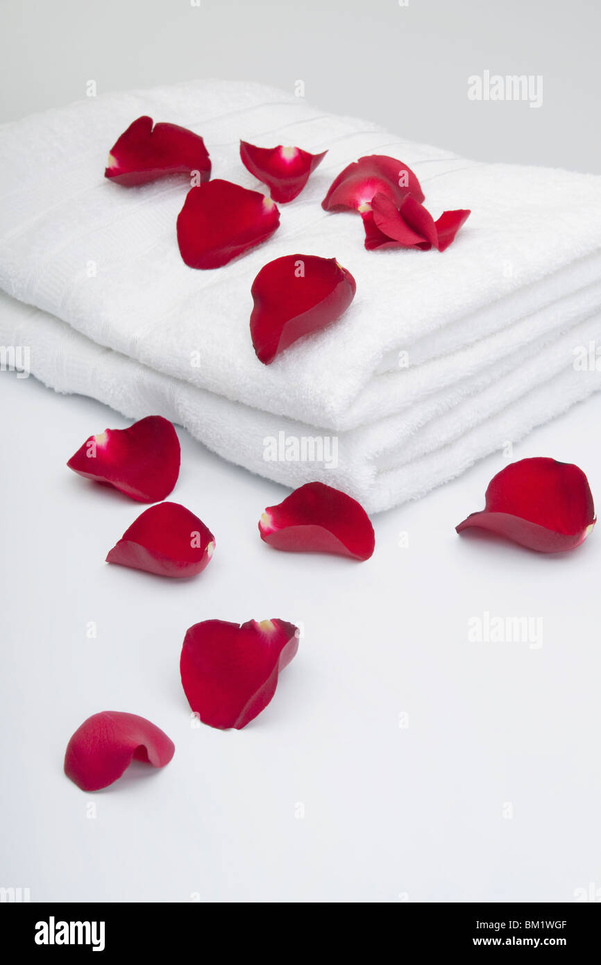 Petali di rosa sul asciugamani Foto Stock